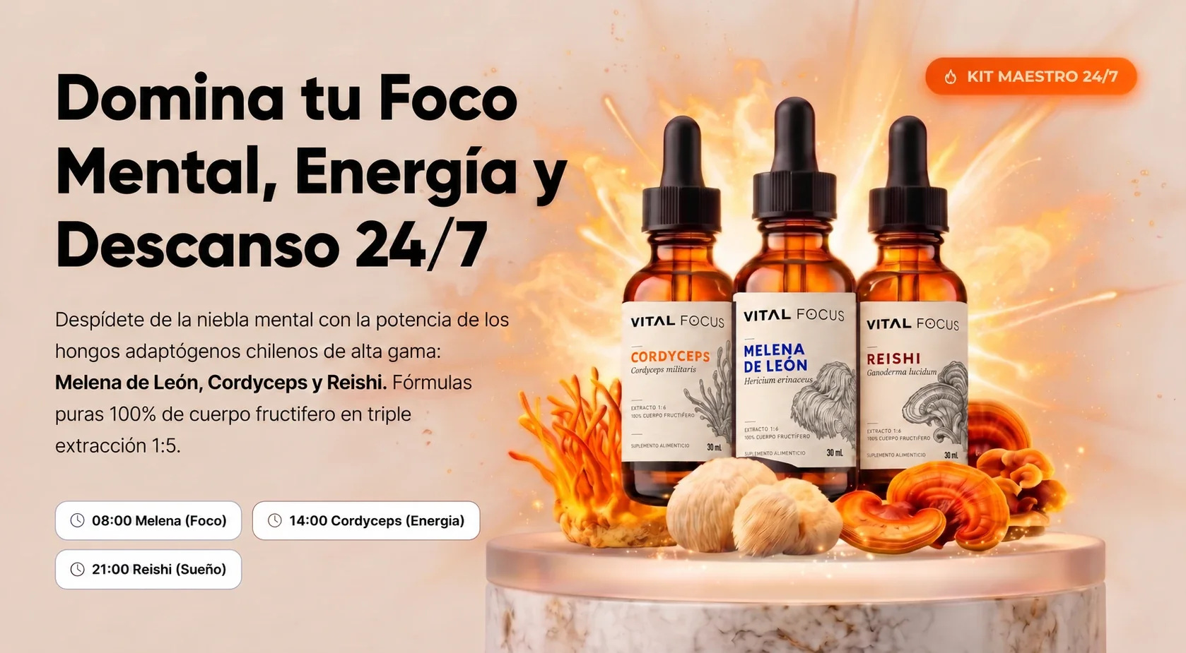 Frascos Vital Focus de Cordyceps, Melena de León y Reishi junto a los hongos frescos: Kit Maestro 24/7